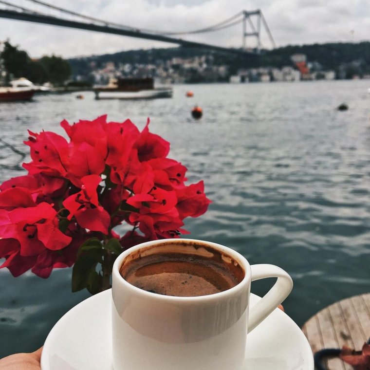 Красивые кофе цветы море