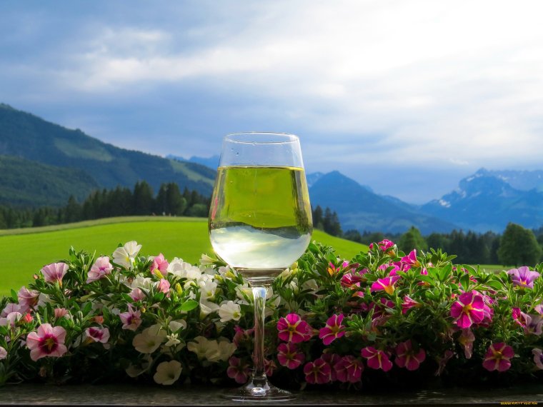 Вино пейзаж