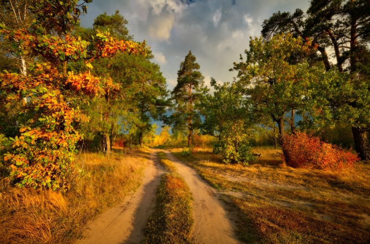 Сентябрьский пейзаж