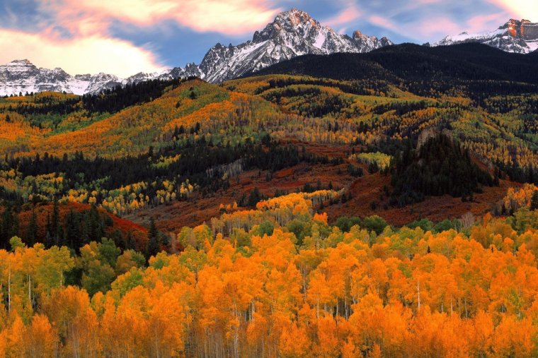 Осенний лес в горах