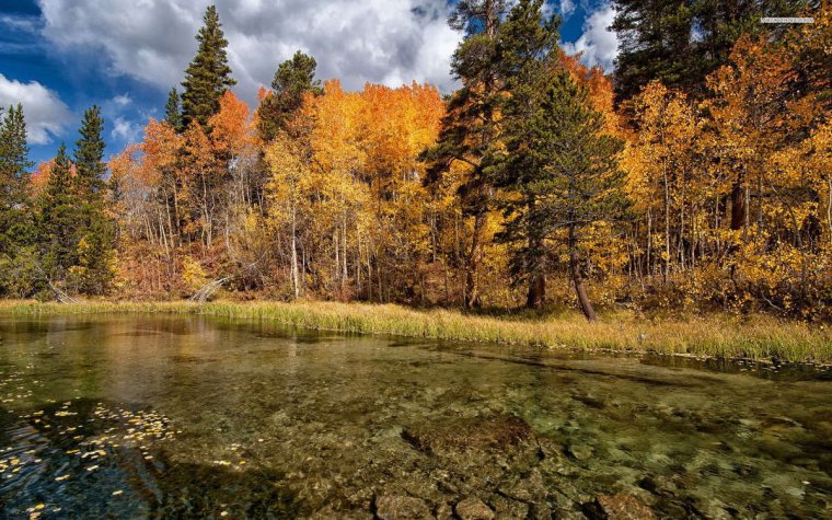 Красота осеннего леса