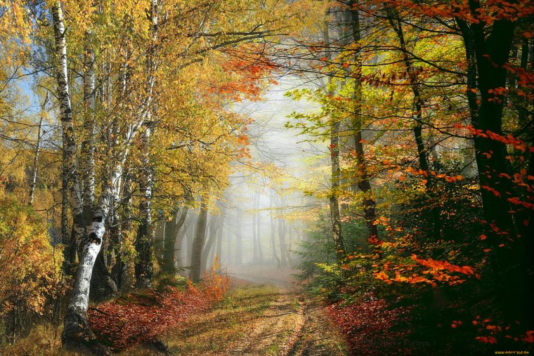 Осенние просторы природы