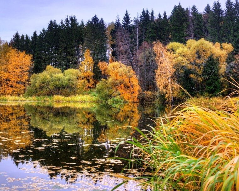 Природа осень