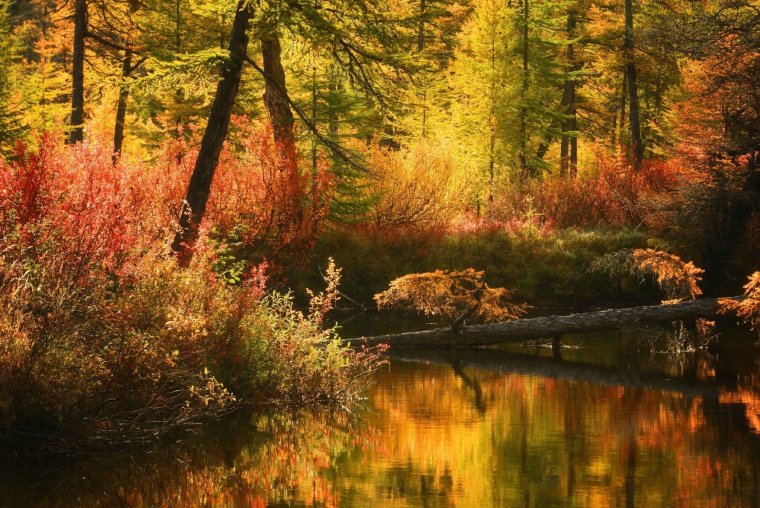 Очень красивые осенние пейзажи