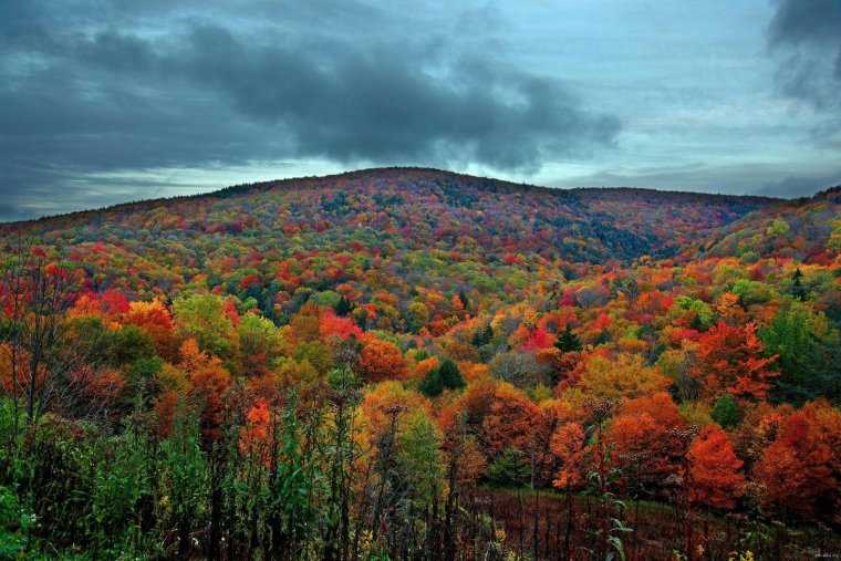 Западная Вирджиния гора се