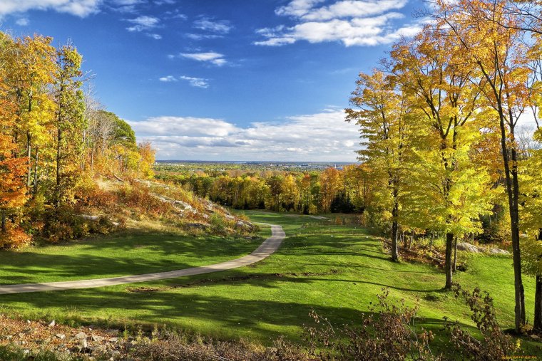 Ранняя осень пейзаж