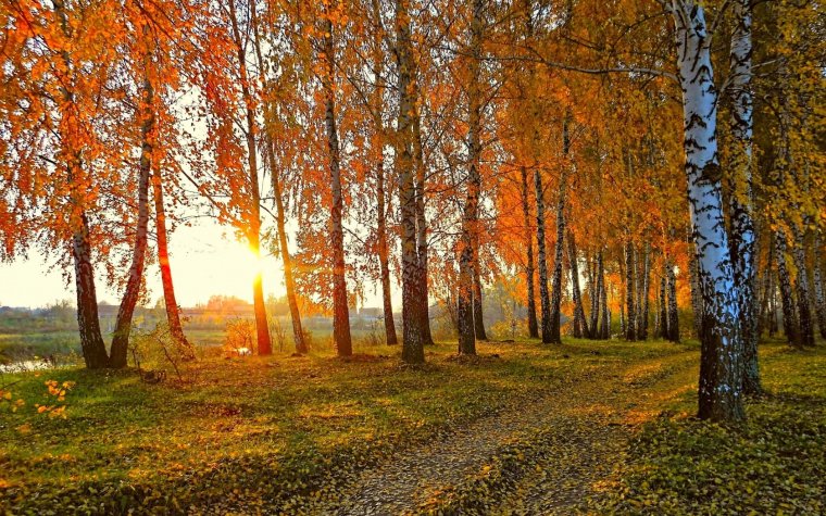 Природа России осень