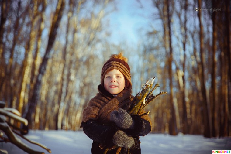 Зимний лес для детей