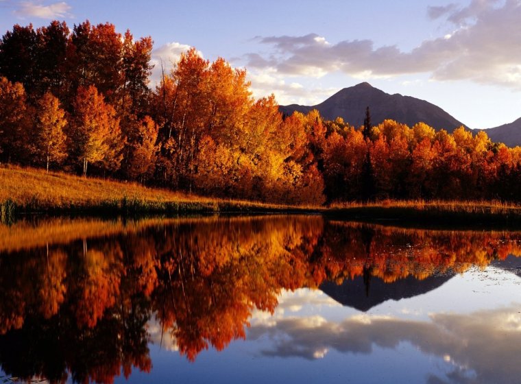 Природа осенью