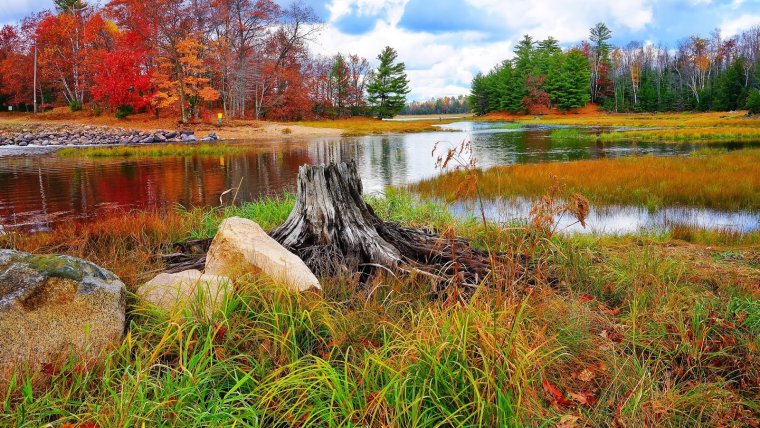 Природа осень