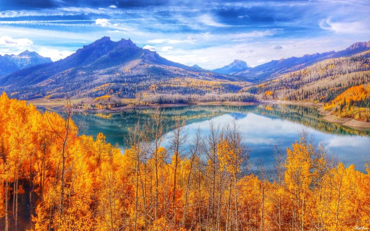 Красивые пейзажи осени