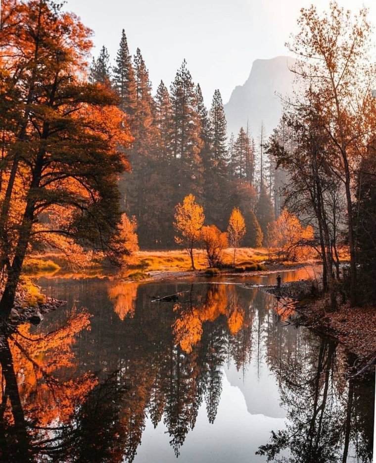 Осенняя природа