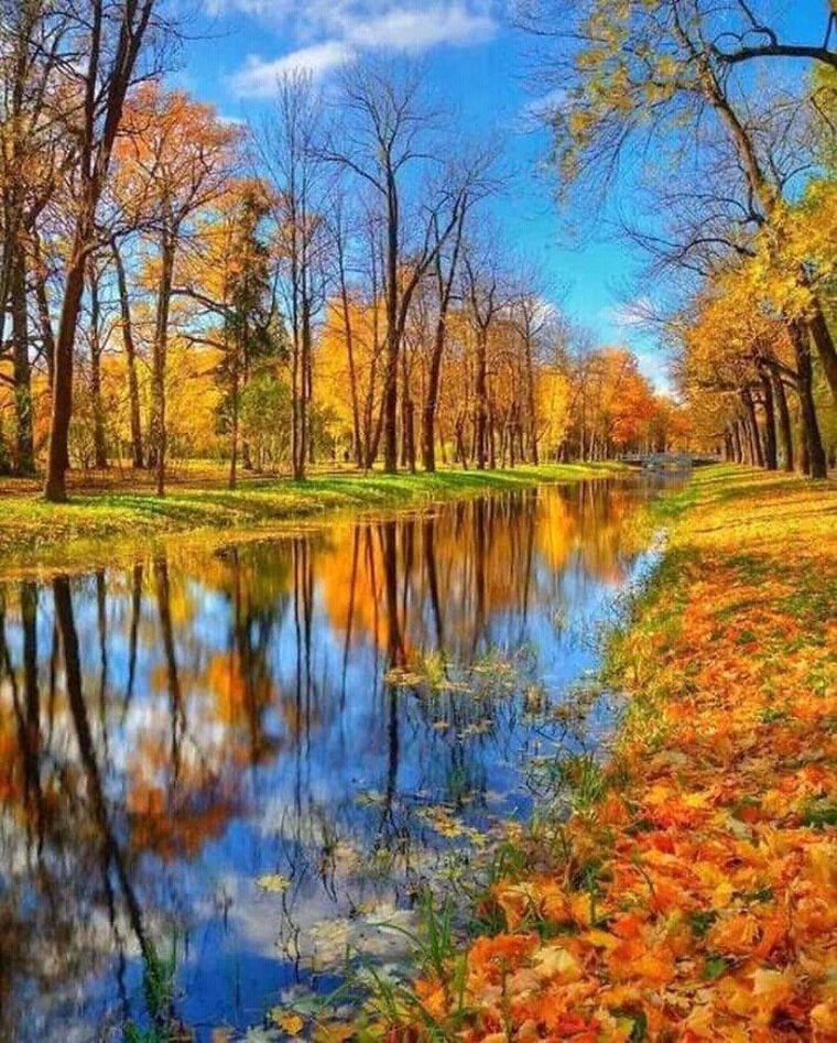 Борис Пастернак Золотая осень