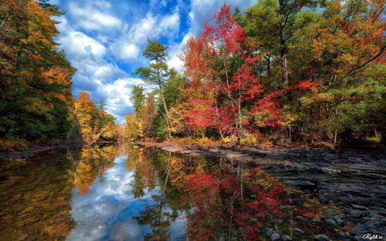 Осенняя река