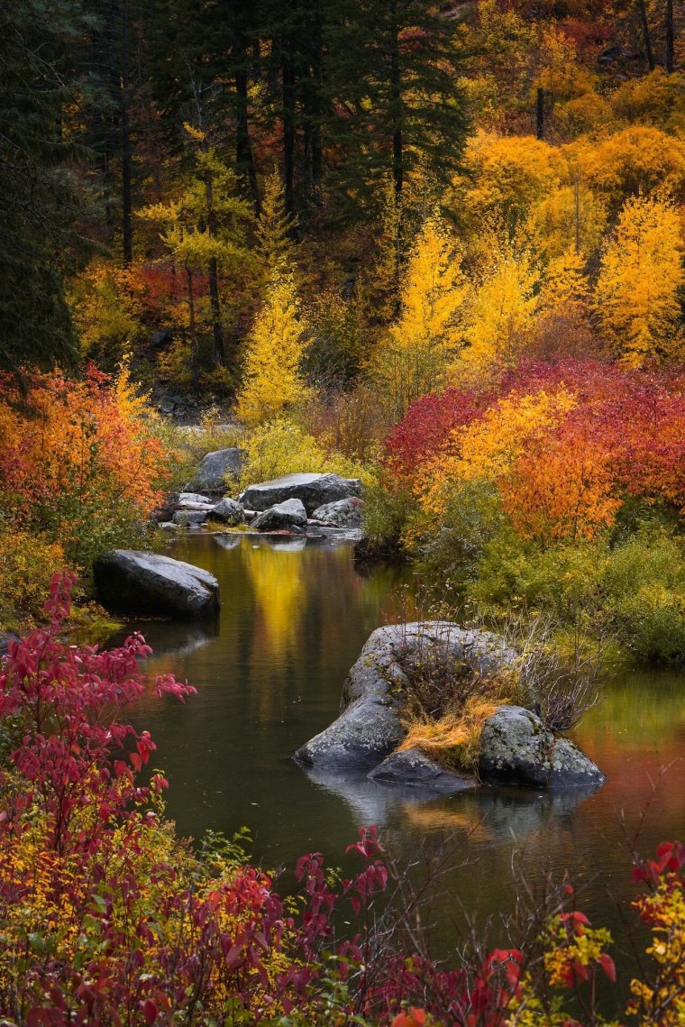 Красивая природа осенью