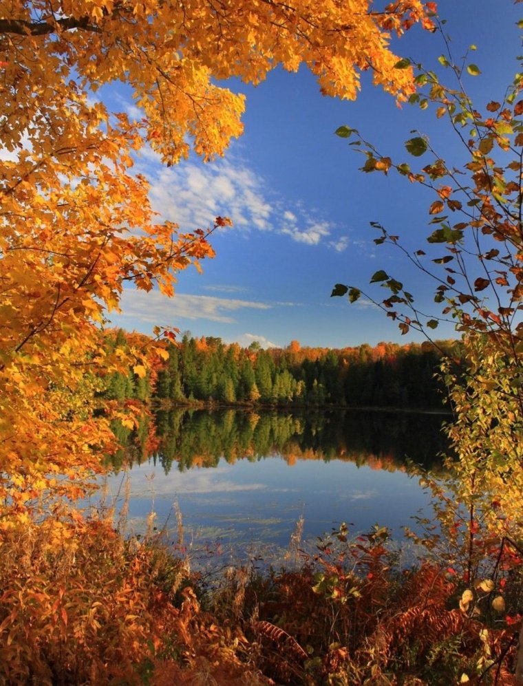 Осенний пейзаж реальные