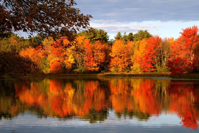 Осенний пейзаж