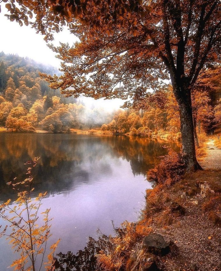 Осеннее озеро