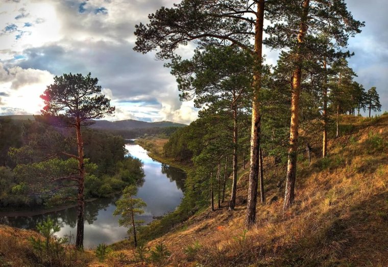 Река лето сосны Звенигород