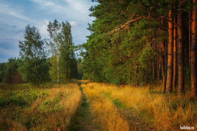 Русский пейзаж