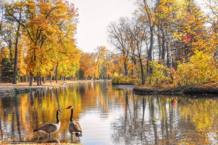 Осенний парк с озером
