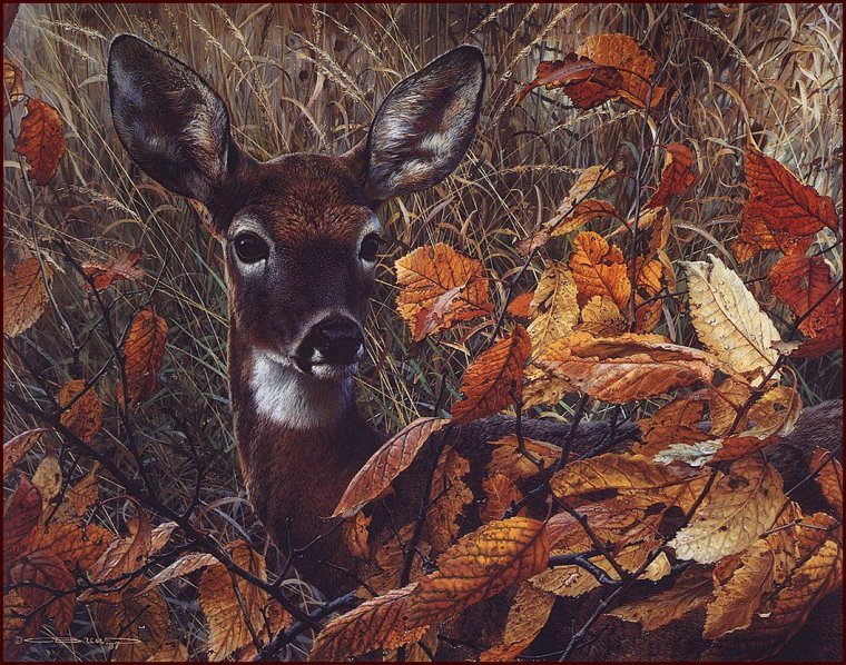 Анималист Карл Брендерс