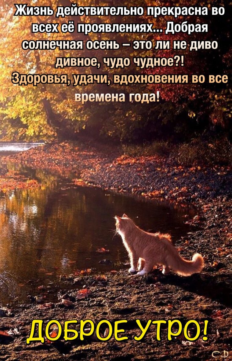 Осенний лес с животными