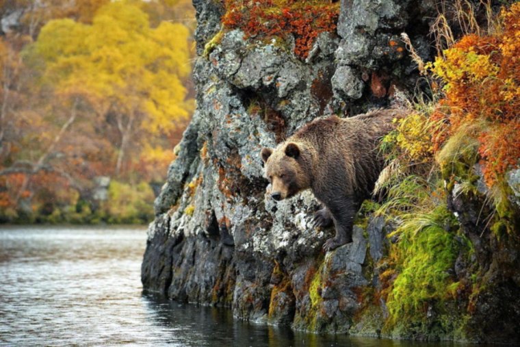 Остров Саманг