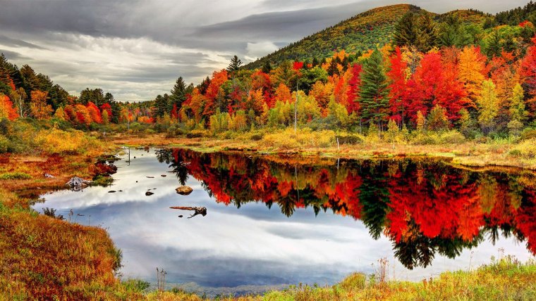 Осень природа клипарт фото