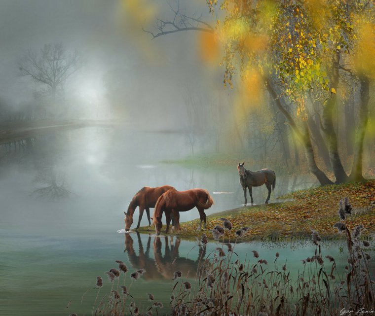 Игорь Зенин осень фотохудожник