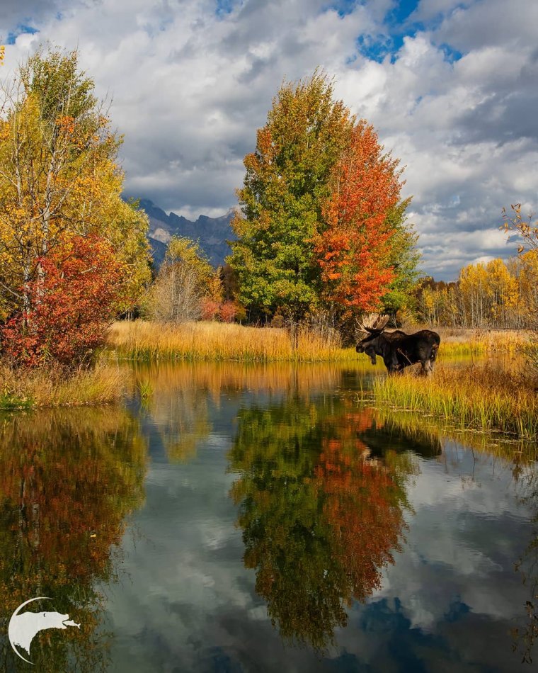 Природа осень