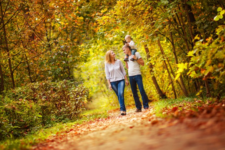 Осень парк семья