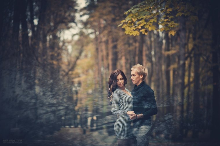 Лав стори в лесу