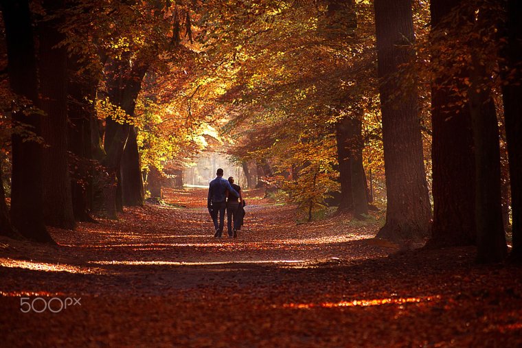 Пара в осеннем парке