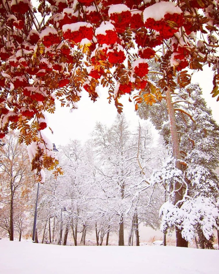 Встреча осени с зимой