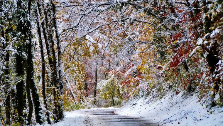 Ранняя зима