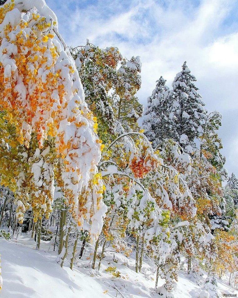 Снег осенью