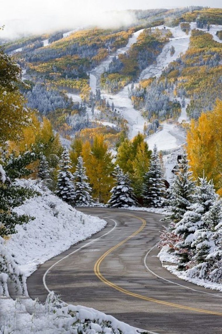 Осенне зимний пейзаж