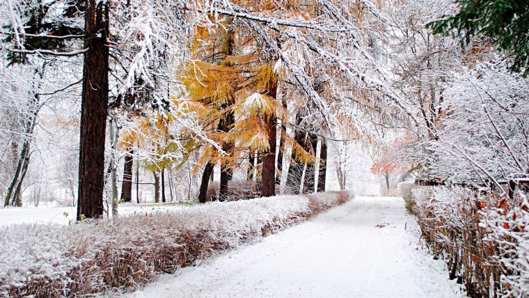 Встреча осени и зимы