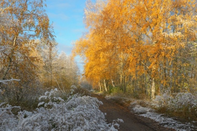 Первый снег