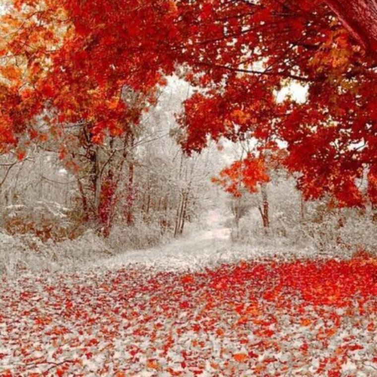 Встреча осени и зимы