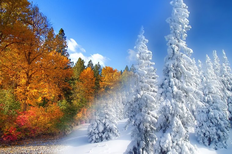 Ранняя зима