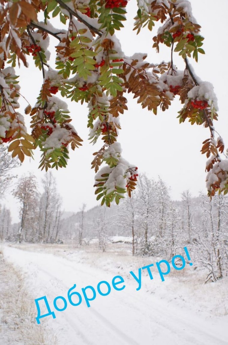 Ранняя зима