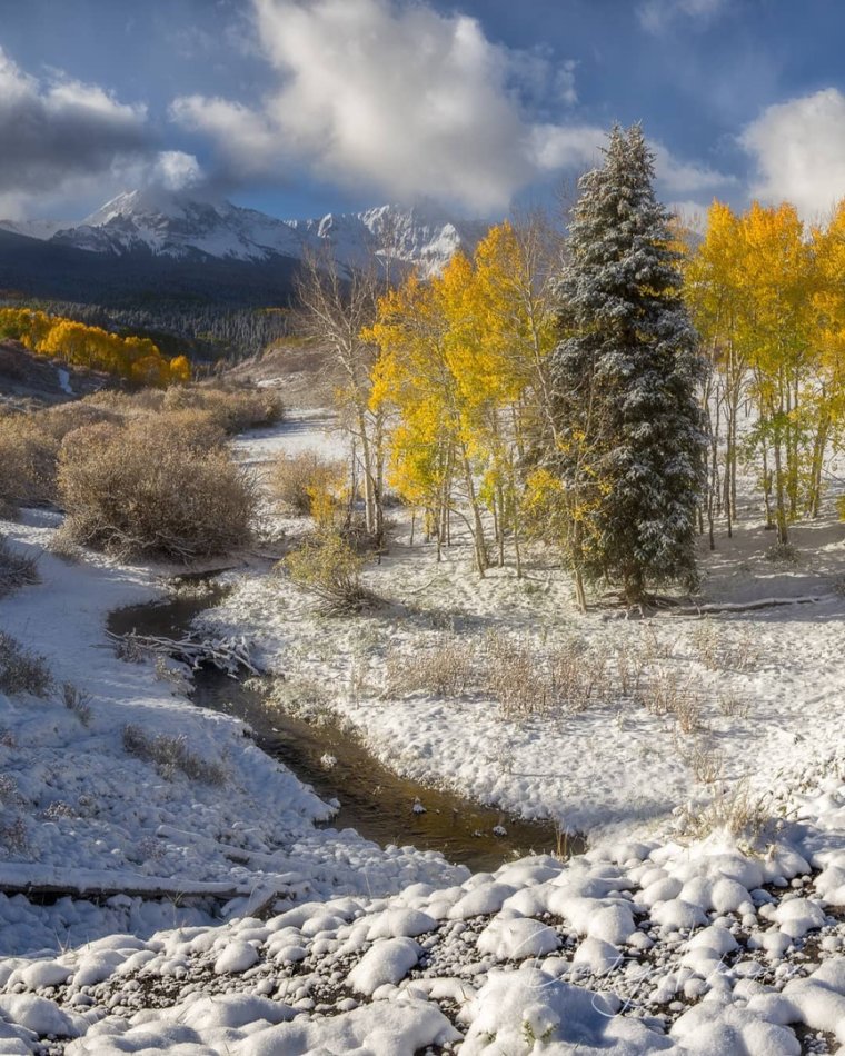 Осень ноябрь