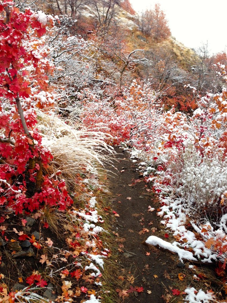 Встреча осени и зимы