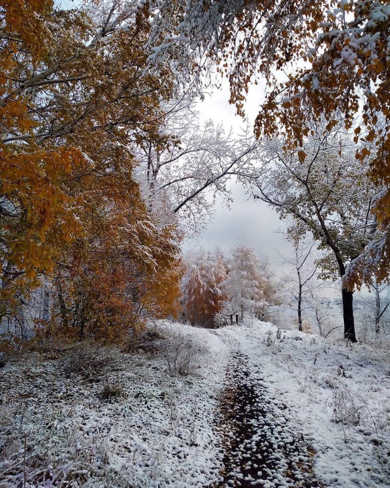Снег в октябре