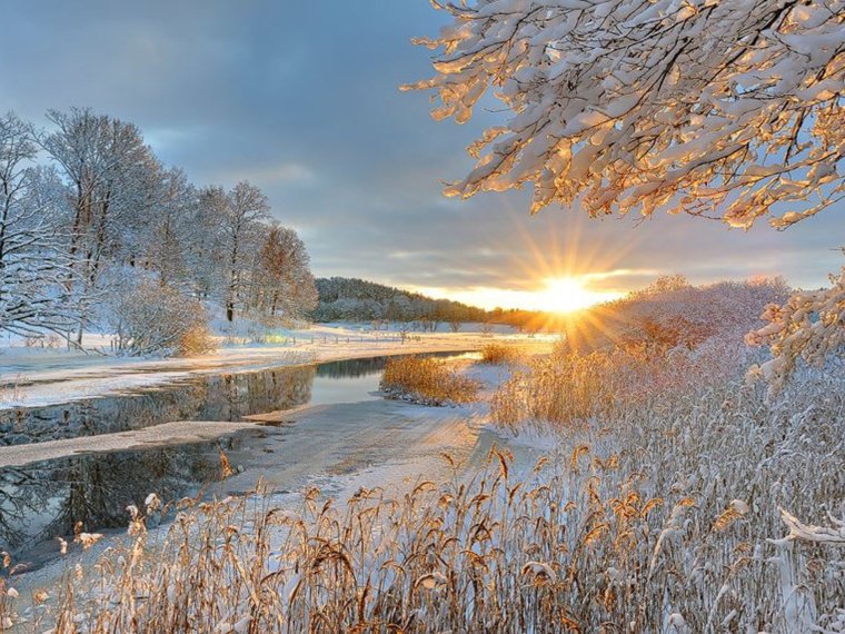 Осенний лес в снегу