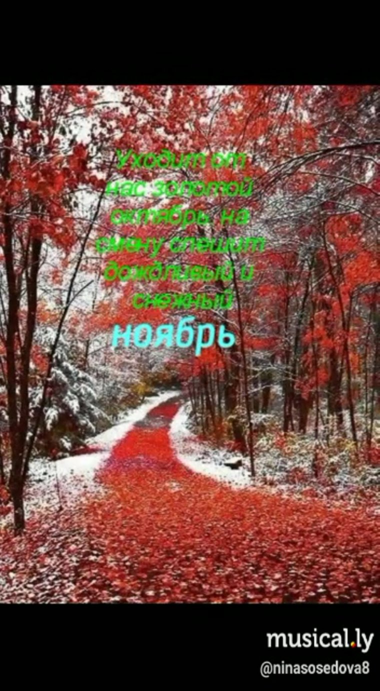 Ранняя зима