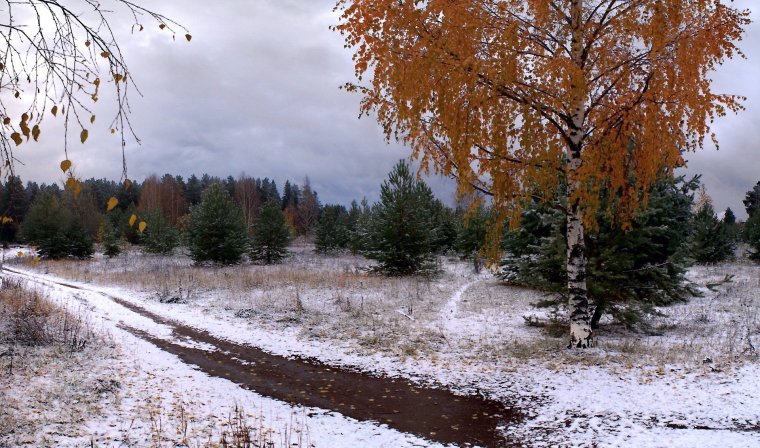 Поздняя осень предзимье
