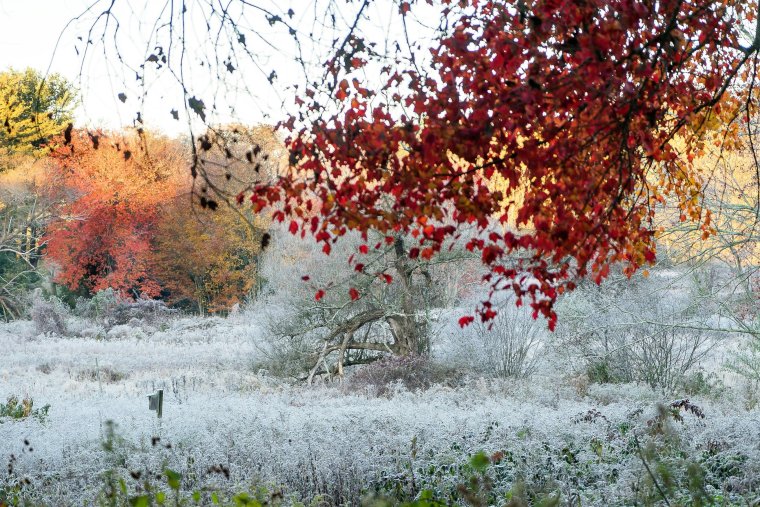 Снежная осень